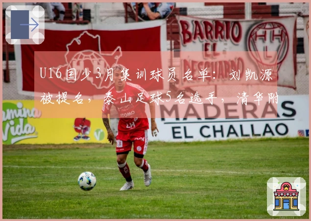 U16国少3月集训球员名单：刘凯源被提名，泰山足球5名选手，清华附中3名学员